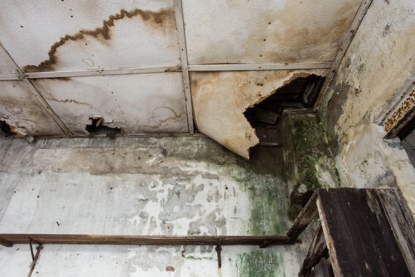 Water Damage Service in Xenia