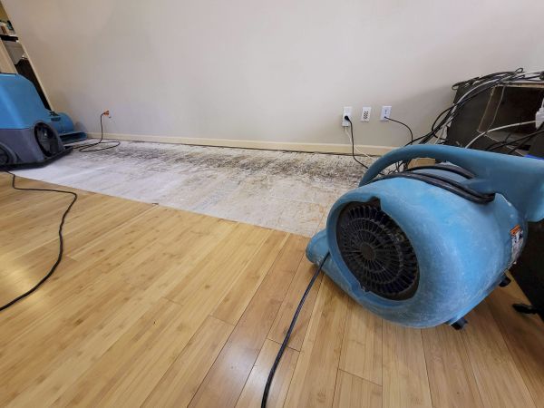 Water Damage Mitigation in Xenia
