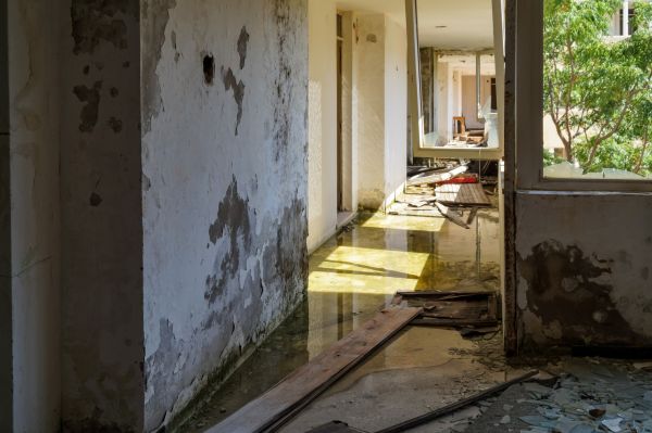 Water Removal Service in Xenia