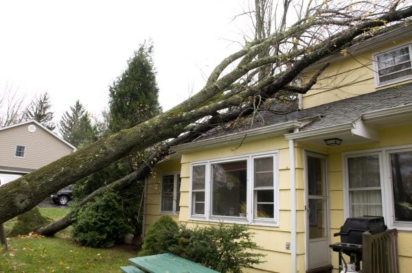 Hurricane Damage Repair in Xenia