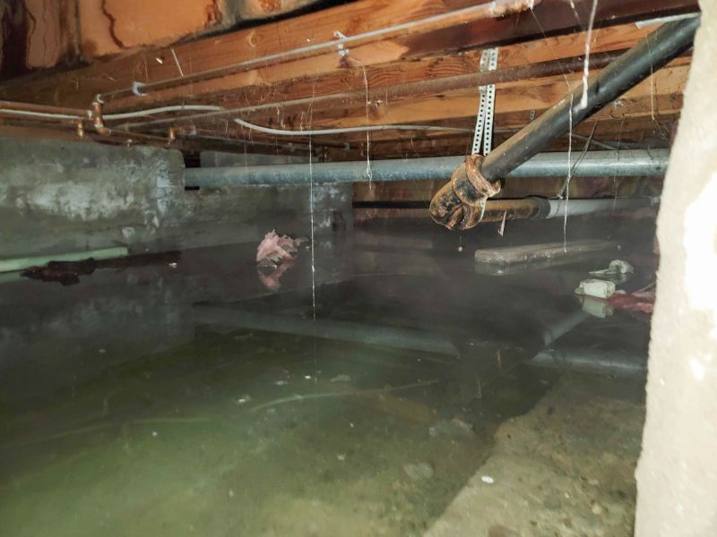 Basement Water Cleanup detail
