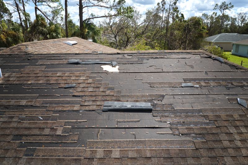 Damaged Roofs