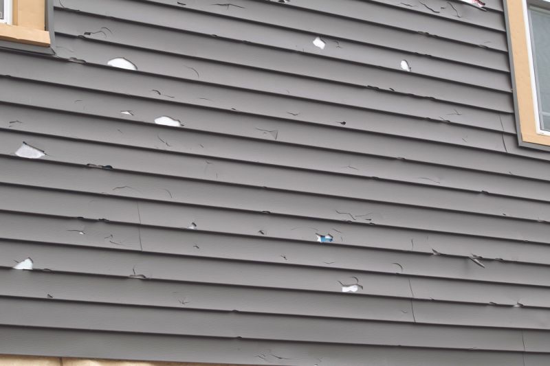 Exterior Siding Damage